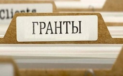 Объявление о проведении конкурса на предоставление грантов некоммерческим организациям на реализацию проектов в сфере государственной молодежной политики