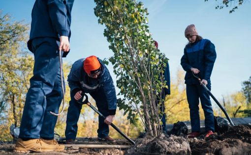 Бойцы РСО приступили к озеленению Парка покорителей космоса