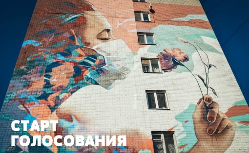 Вся страна выбирает победителя Фестиваля стрит-арта ПФО «ФормАRТ»:  голосуйте за номер 13