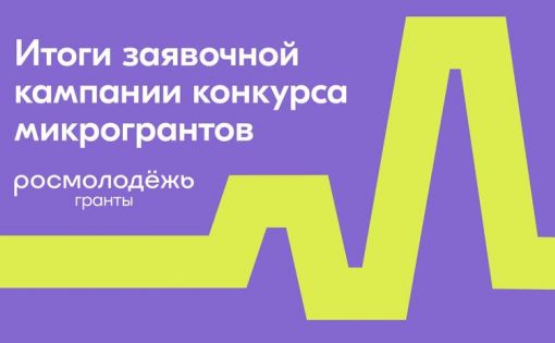 Более 4,5 тыс. проектов претендуют на микрогранты Росмолодёжи