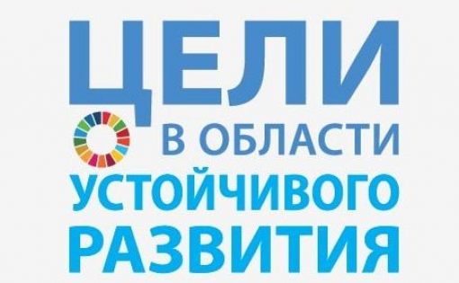 Открыт прием заявок на участие в отборе программы «Молодежные посланники ЦУР России»